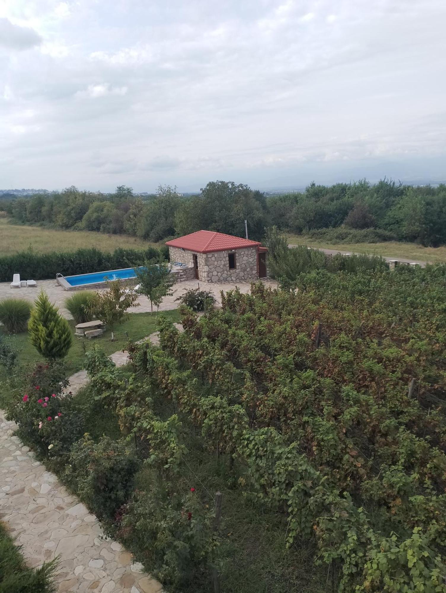 Chateau Tetri Bairagebi White Flags Kisiskhevi المظهر الخارجي الصورة